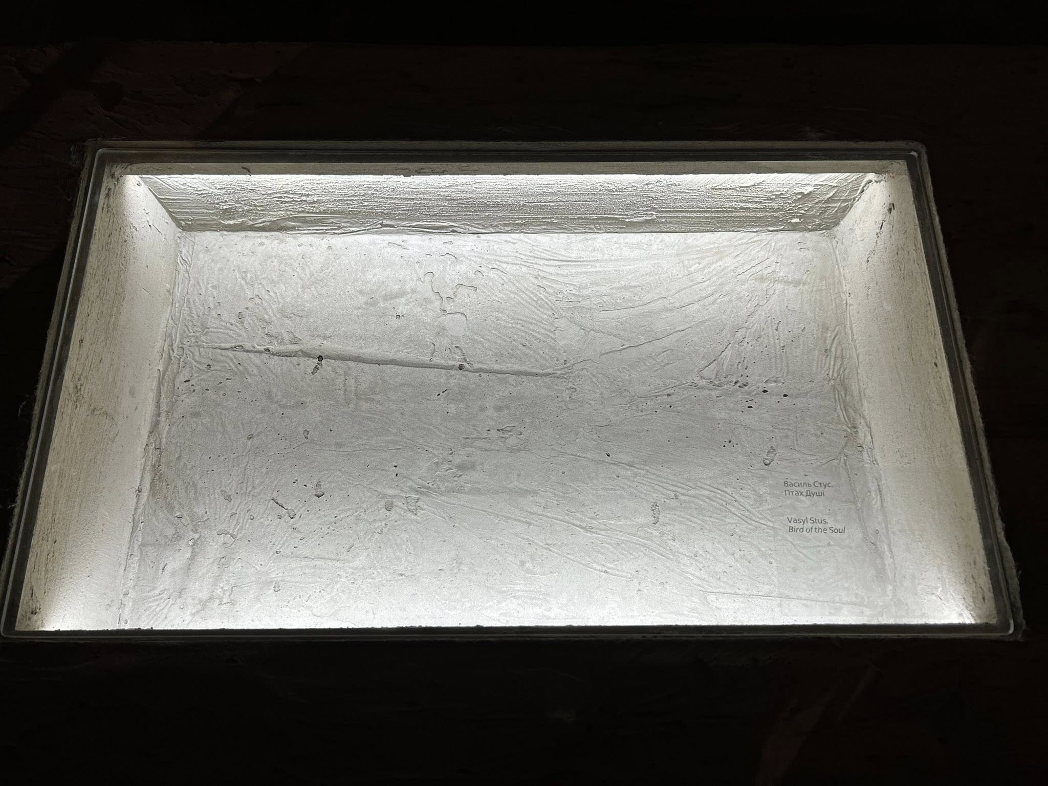 Ярослава Стріха: 