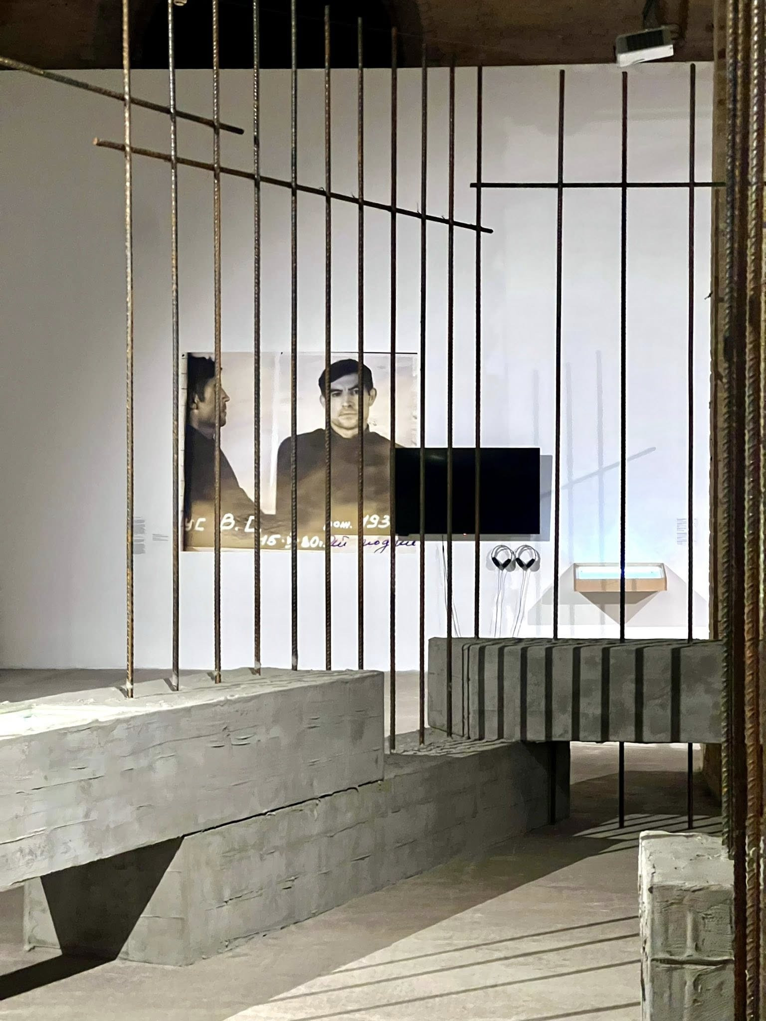 Ярослава Стріха: 