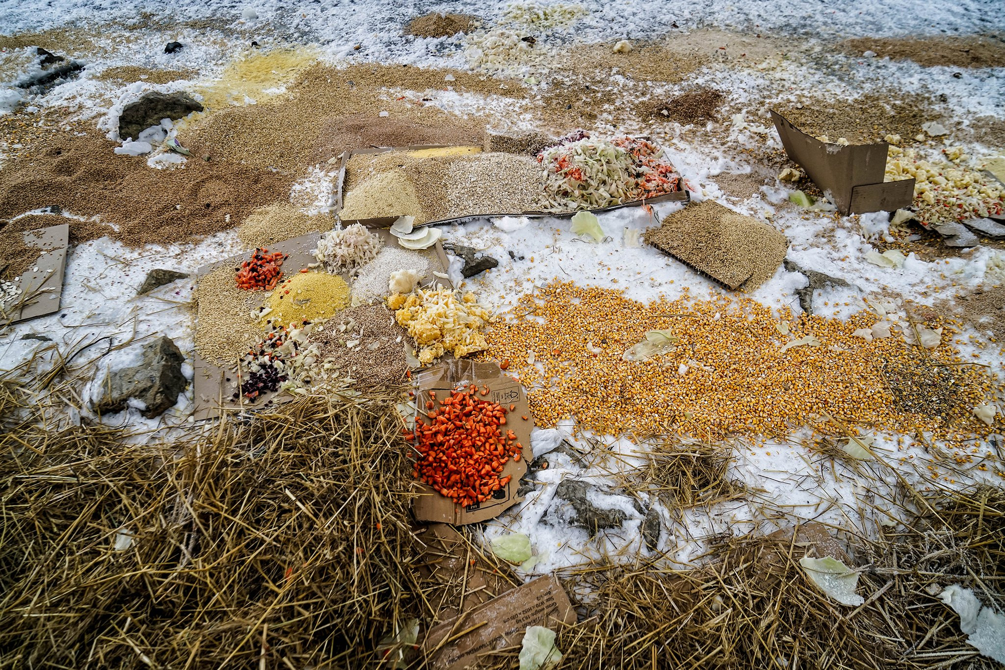 Олена Гром: Наша національна особливість допомагати автоматично, без зайвих слів та інструкцій - зображення