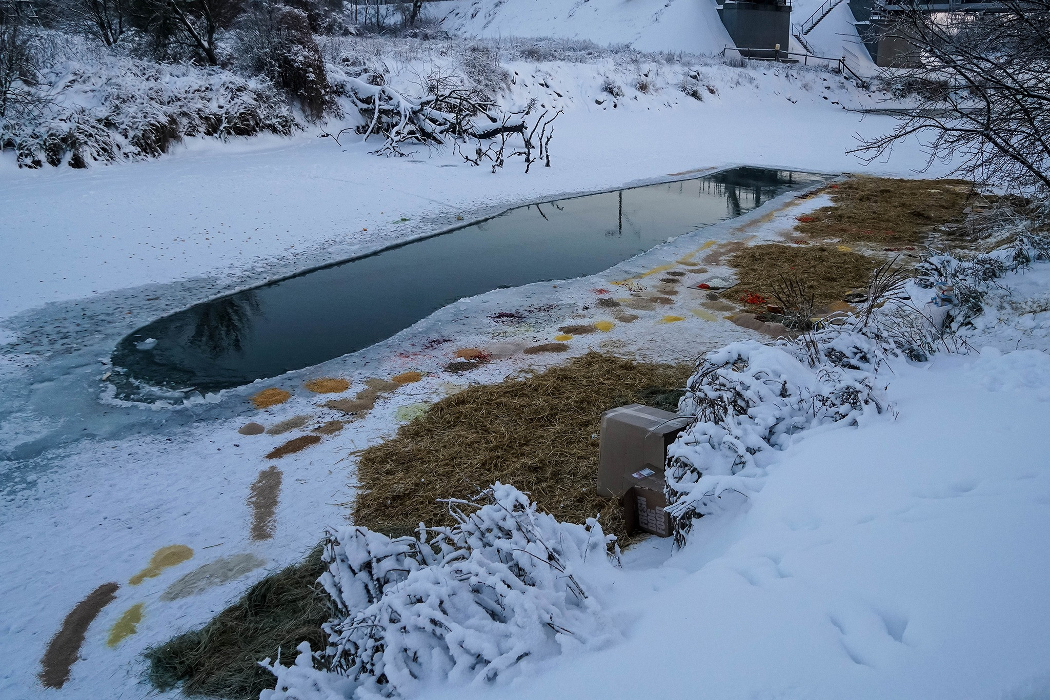 Олена Гром: Наша національна особливість допомагати автоматично, без зайвих слів та інструкцій - зображення