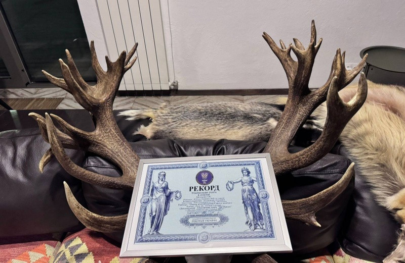 Лана Вєтрова: Браконьєри знищили унікального оленя-рекордсмена - зображення