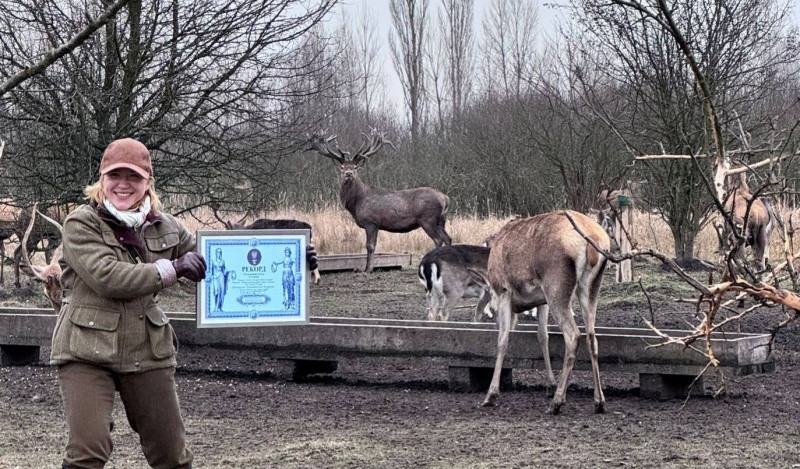Лана Вєтрова: Браконьєри знищили унікального оленя-рекордсмена - 2 - зображення