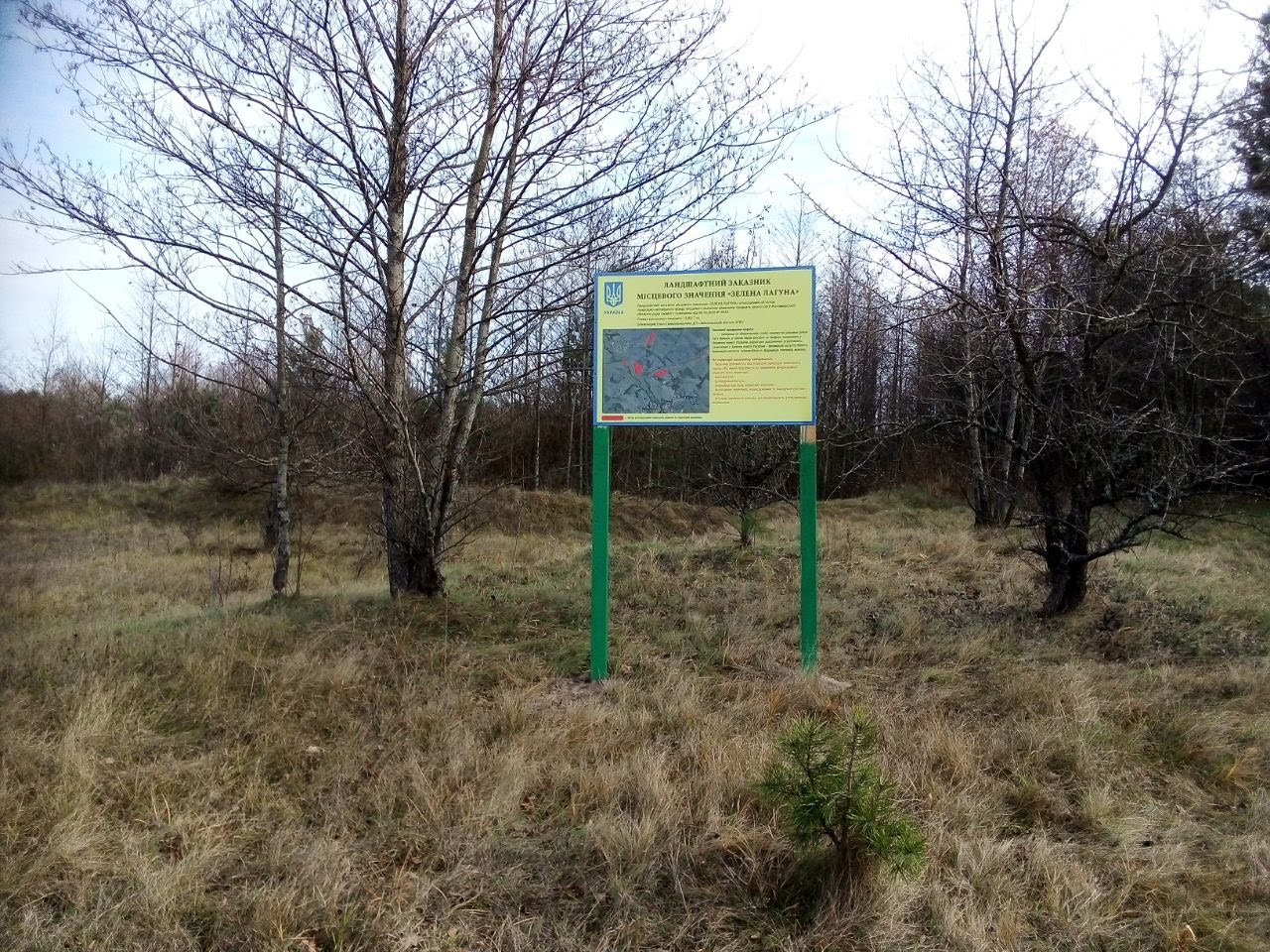 Максим Залевський: Коли луг стає активом: Карбонові кредити і майбутнє українського села - зображення