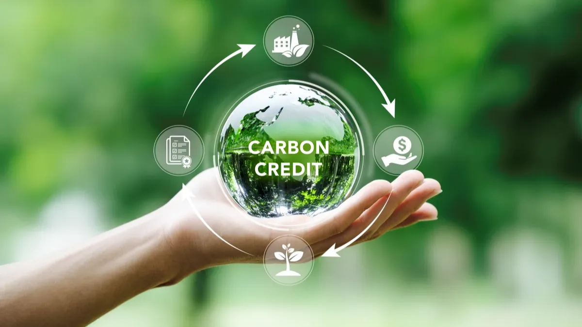 Максим Залевський: Коли луг стає активом: Карбонові кредити і майбутнє українського села - зображення