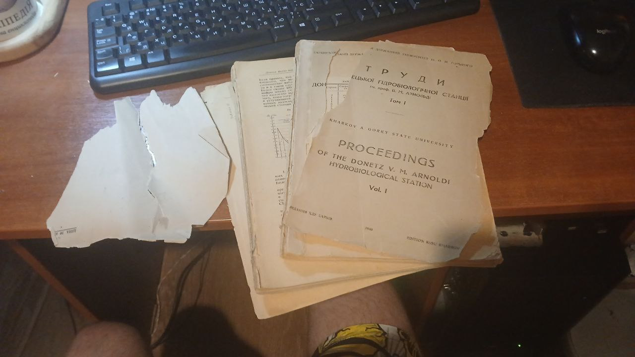 Олексій Василюк: Сайт 