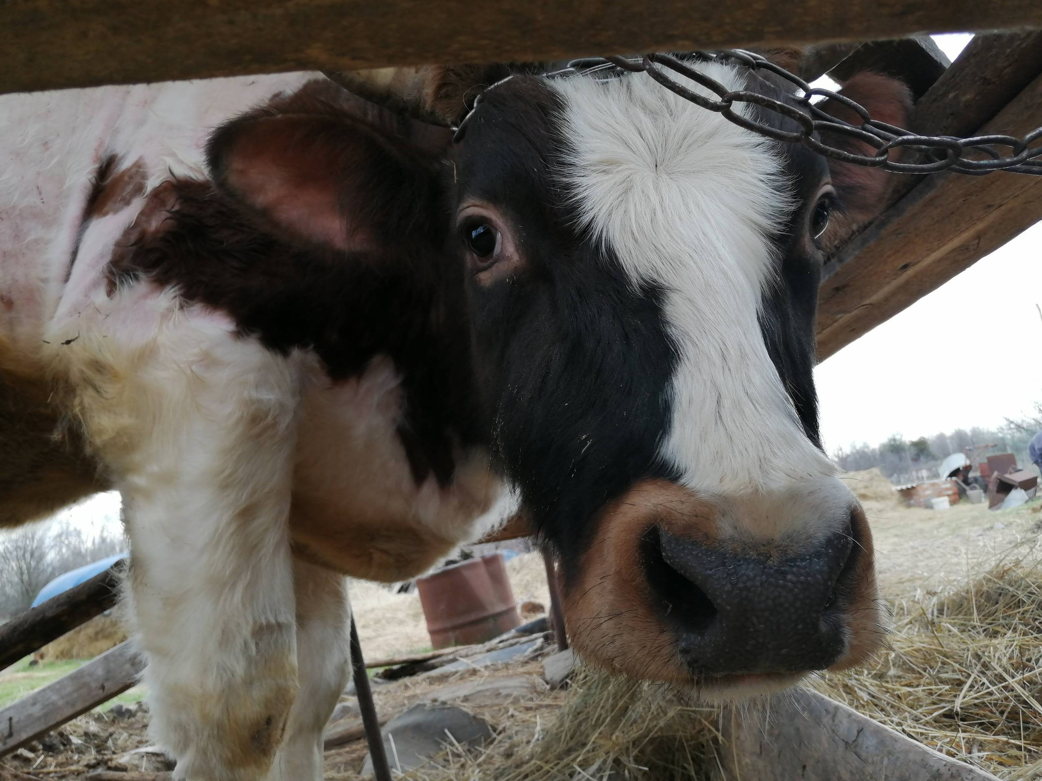 Людмила Першин: Коли тиша стає звуком: мій перший досвід із 