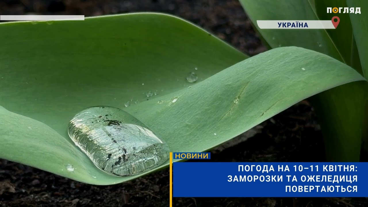 Погода на 10–11 квітня: заморозки та ожеледиця повертаються (ВІДЕО) - зображення