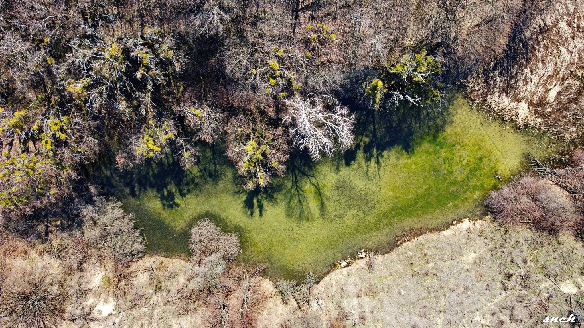 Олександр Мальон: Бучак: Там, де земля дихає вічністю - зображення