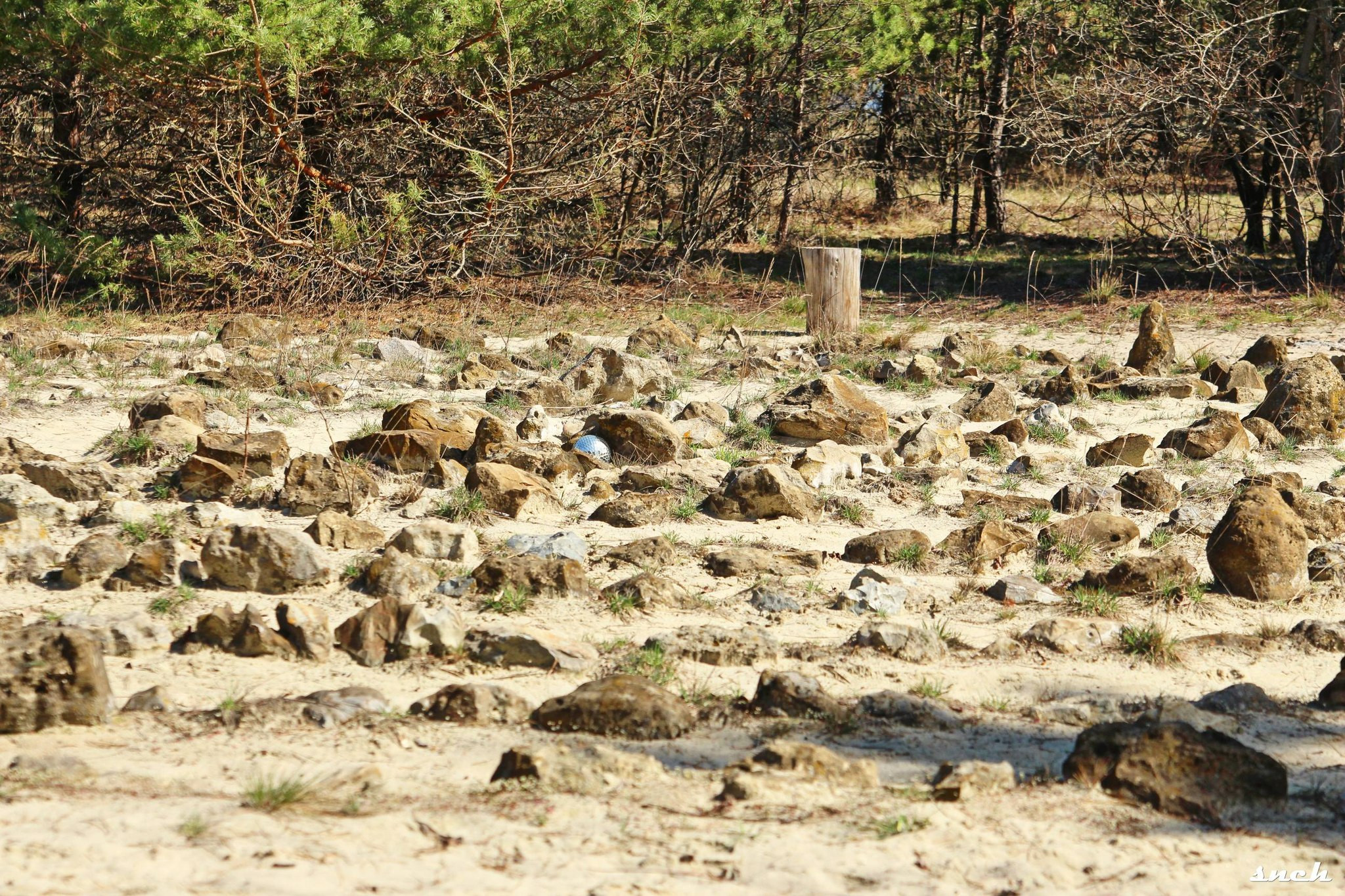 Олександр Мальон: Бучак: Там, де земля дихає вічністю - 1 - зображення
