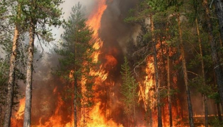 ДСНС: в Україні переважає найвищий рівень пожежної небезпеки 