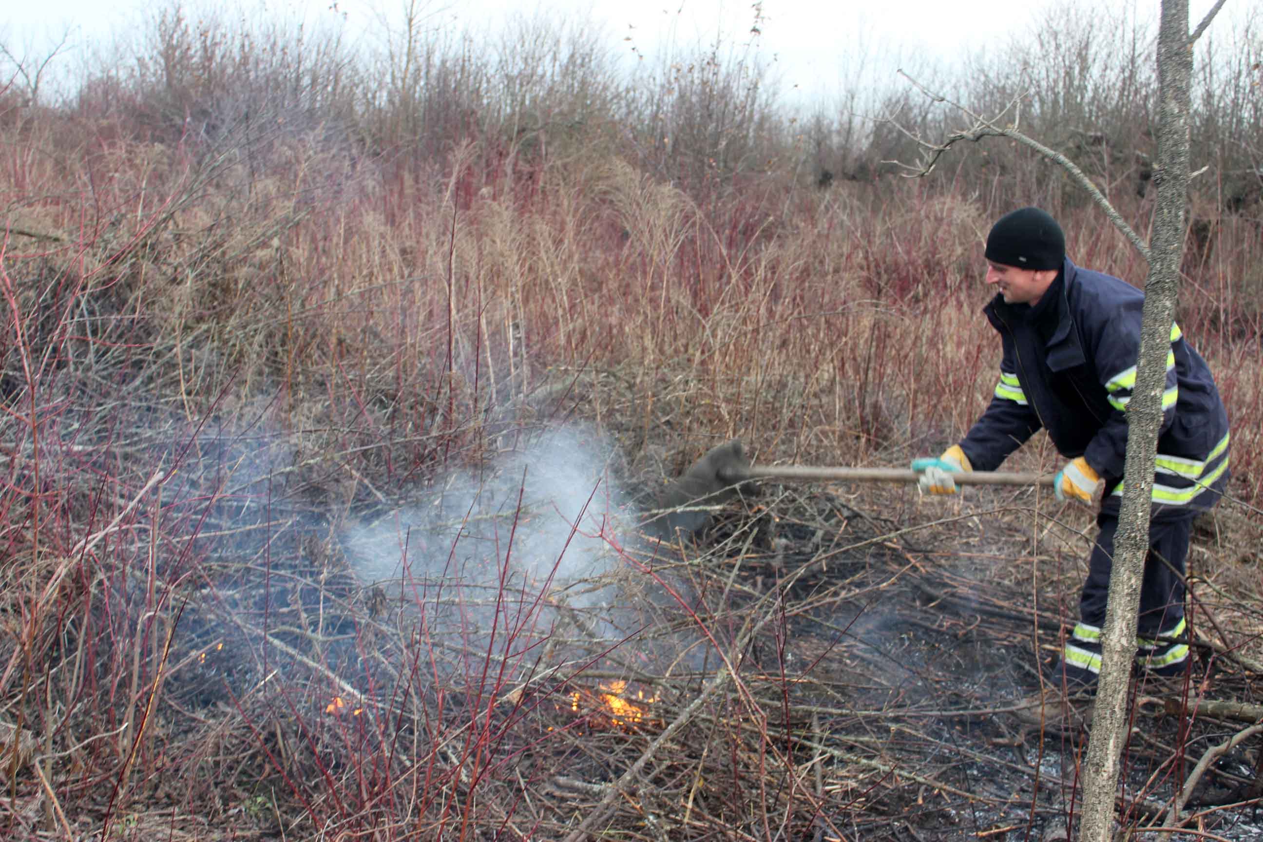Біля Фастова загорілась трава та гілки на великій площі – вогонь перекинувся на сміттєзвалище