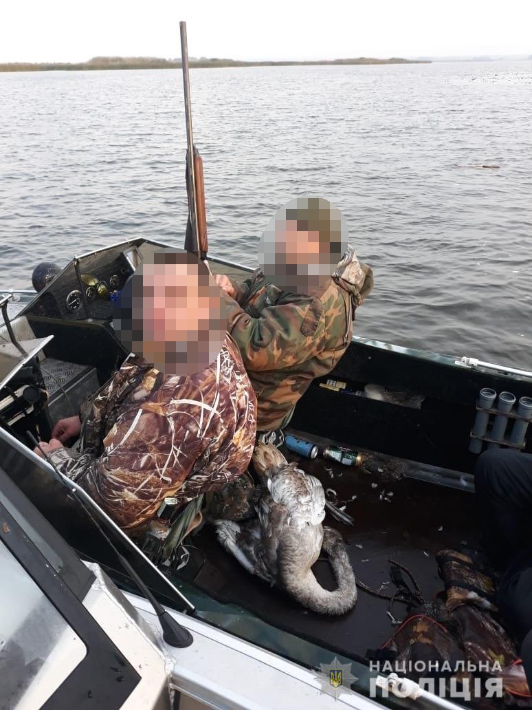 «Під градусом» і з застреленим лебедем: на Київщині упіймали браконьєрів