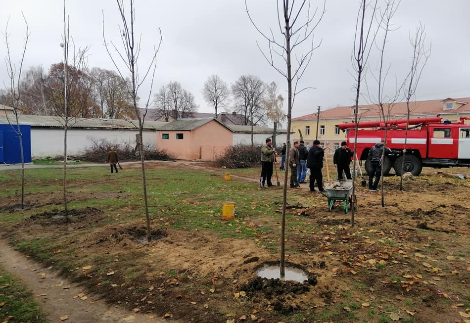 У 5 населених пунктах Київщини висадили понад 800 дерев та кущів