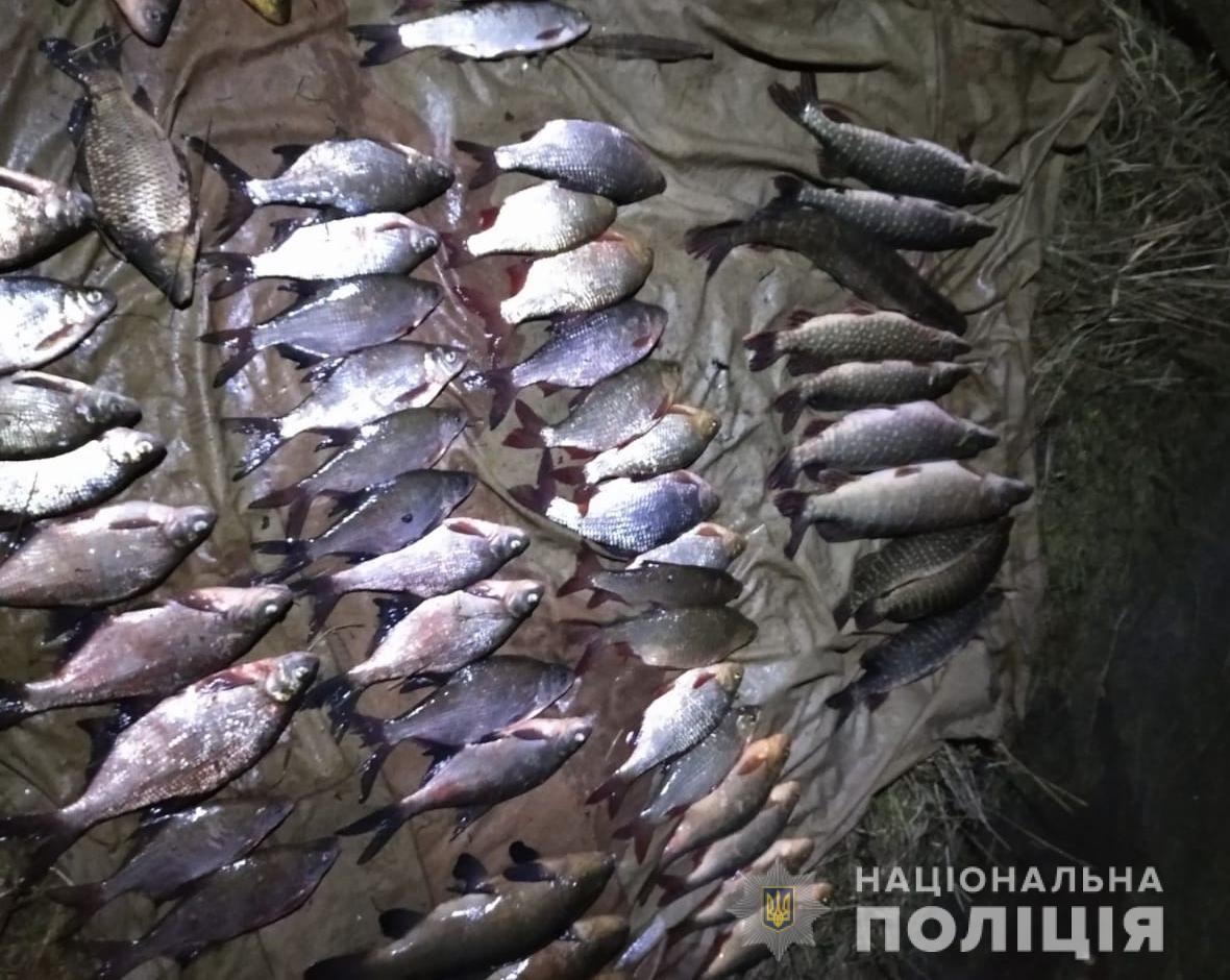 На Київщині «рибному» браконьєру загрожує кримінальна відповідальність