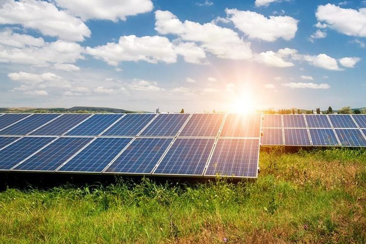 У зоні ЧАЕС планують збудувати сонячну електростанцію потужністю 1,2 Мвт