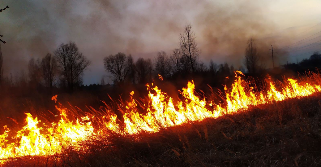 В екосистемах Київщини за добу сталося 150 пожеж